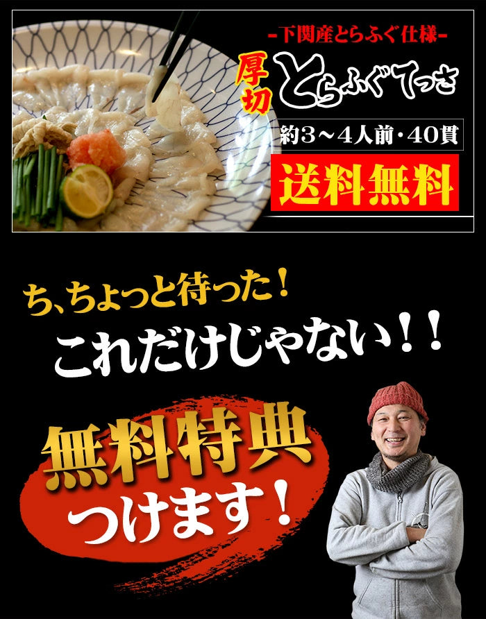 冬の王道★【40貫】国産とらふぐのてっさ3～4人前(フグ/河豚)