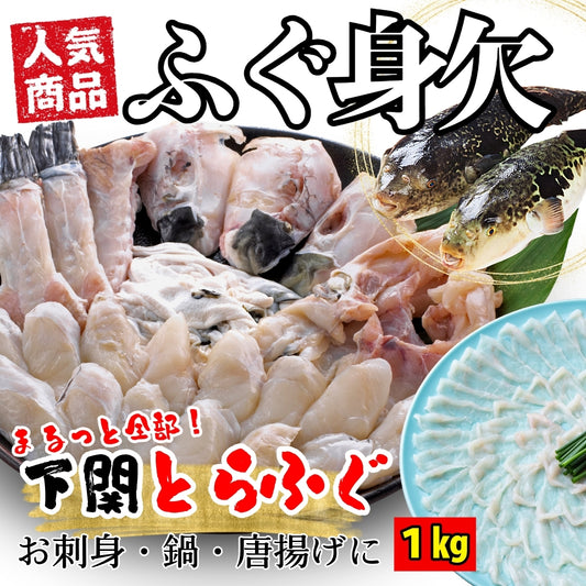 【大人気】国産活とらふぐ(フグ/河豚)身欠き/みがき（生食可能）約１ｋｇ　1kgあたり2-3尾入