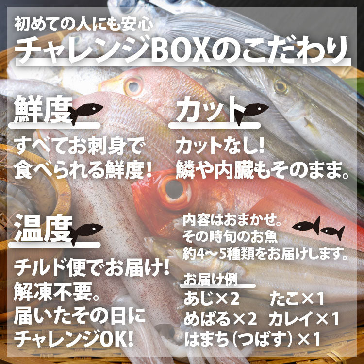 ご自宅でチャレンジ！国産お魚さばきチャレンジBOX【冷蔵便限定】