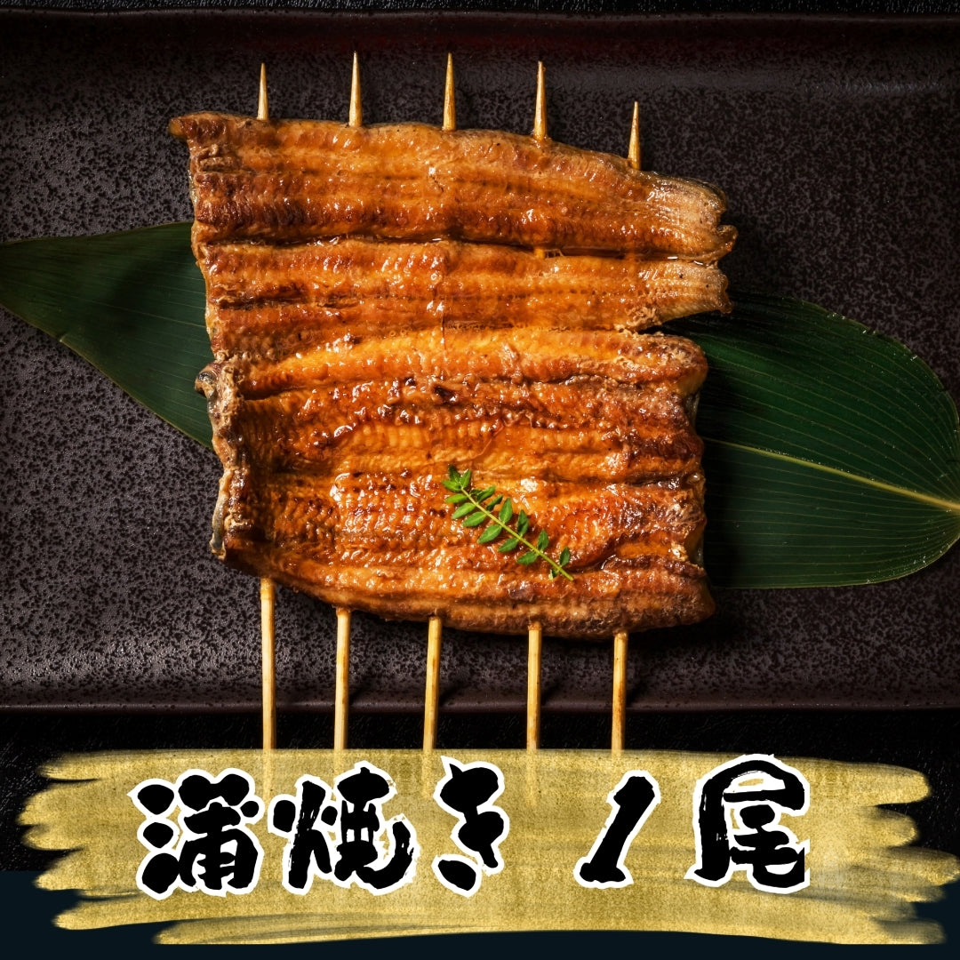 【国産鰻 1尾】自慢の自家焼き！選べる！活うなぎ蒲焼きor 白焼き