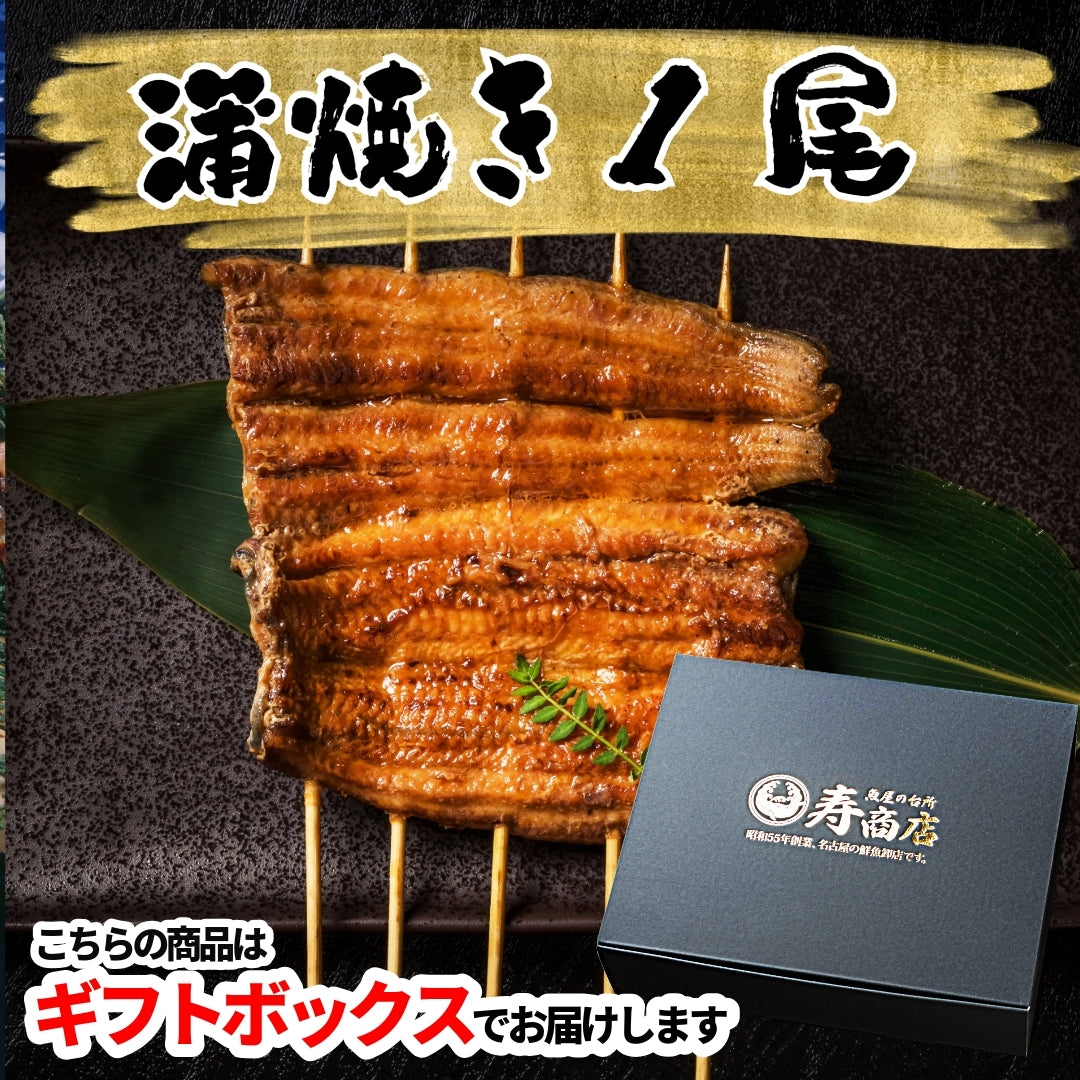 【国産鰻 1尾】自慢の自家焼き！選べる！活うなぎ蒲焼きor 白焼き