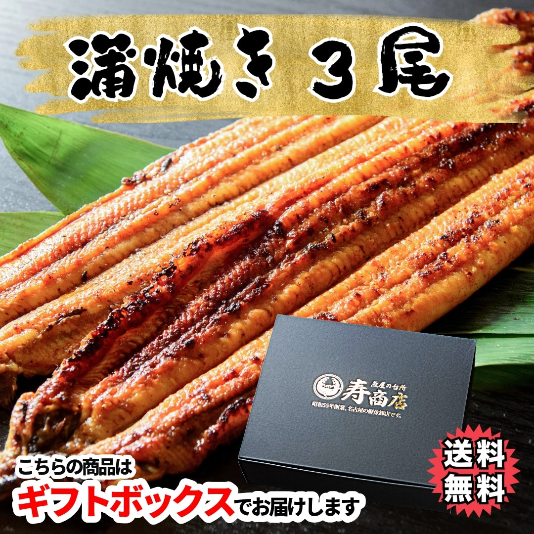 選べる！直焼きの国産うなぎ蒲焼 or 白焼き（お値打ちな2尾 or 3尾）