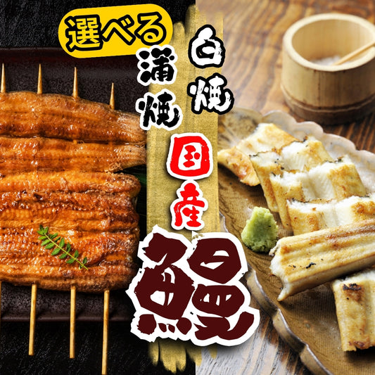 選べる！直焼きの国産うなぎ蒲焼 or 白焼き（お値打ちな2尾 or 3尾）