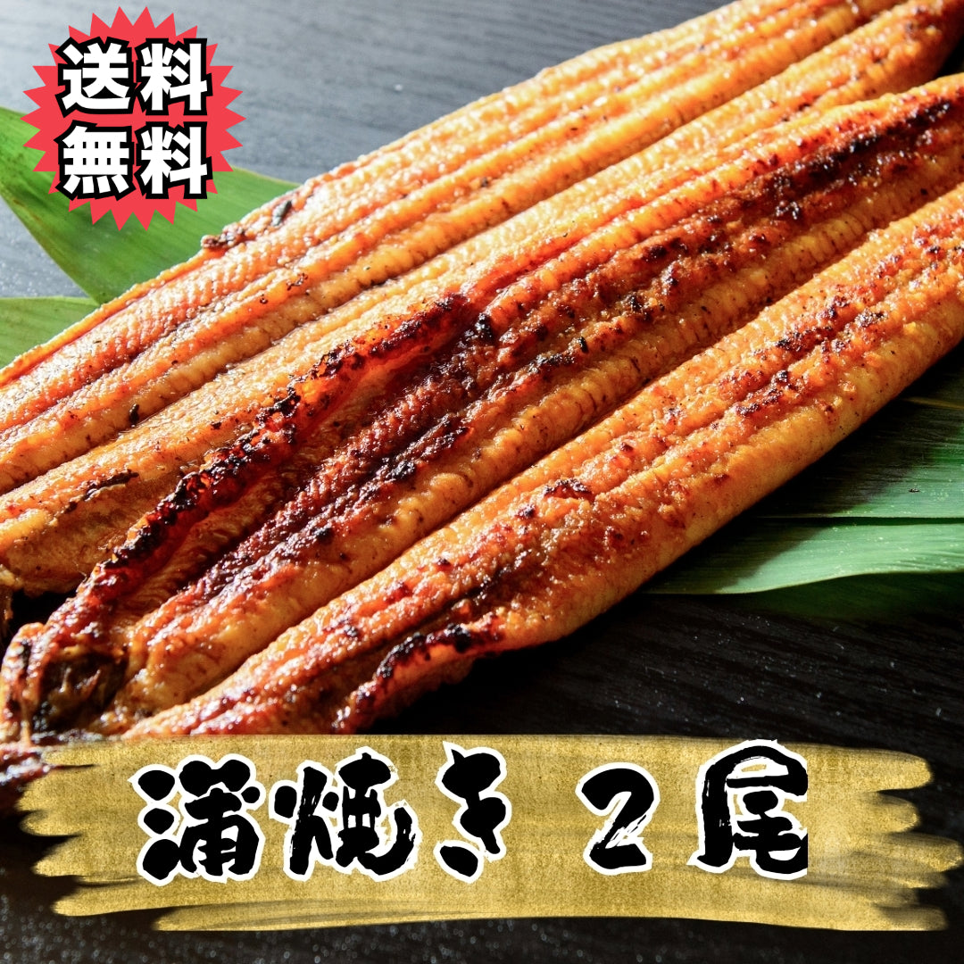 選べる！直焼きの国産うなぎ蒲焼 or 白焼き（お値打ちな2尾 or 3尾）