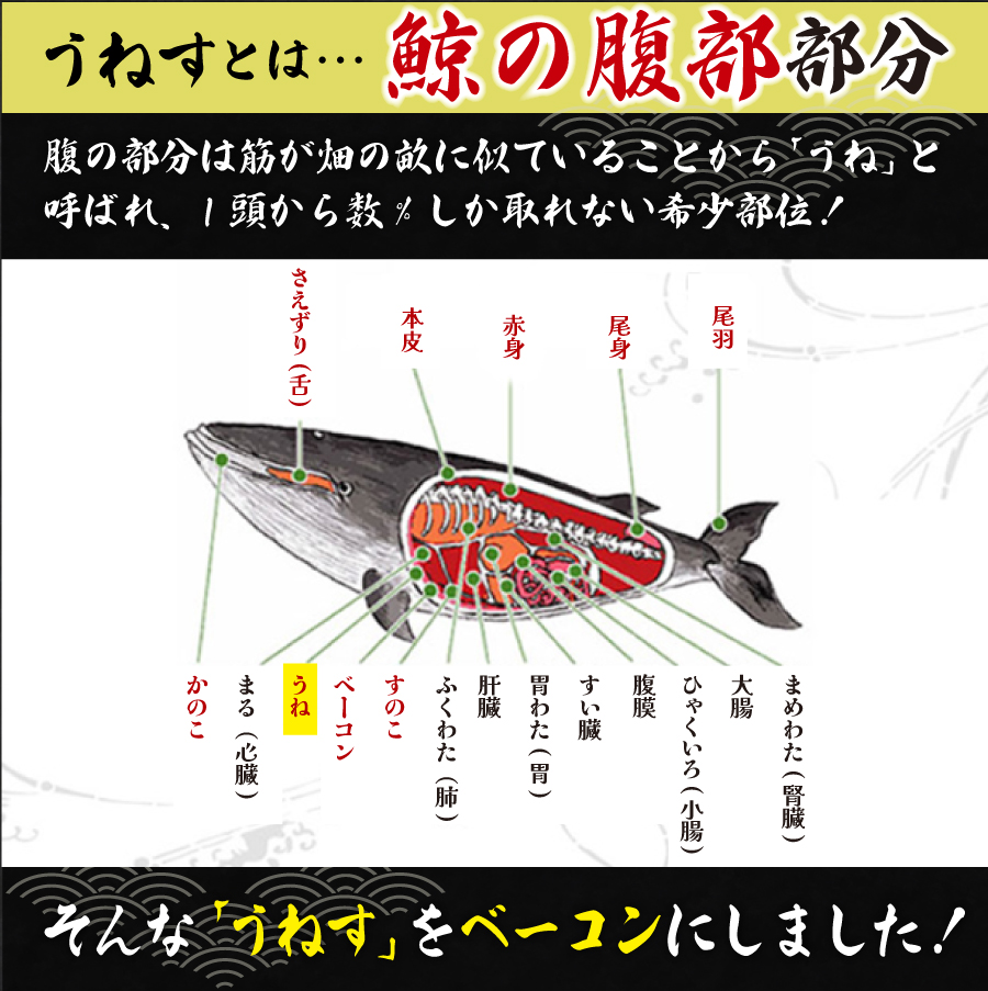 鯨(くじら・クジラ)うねすベーコン100ｇ